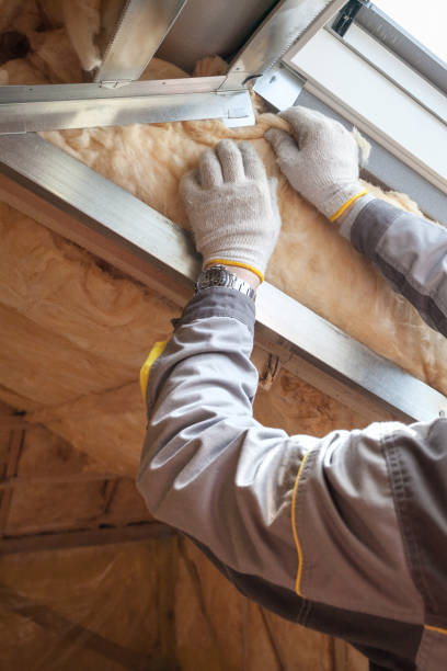 Best Geographic-Specific Insulation Services in St Pauls, NC